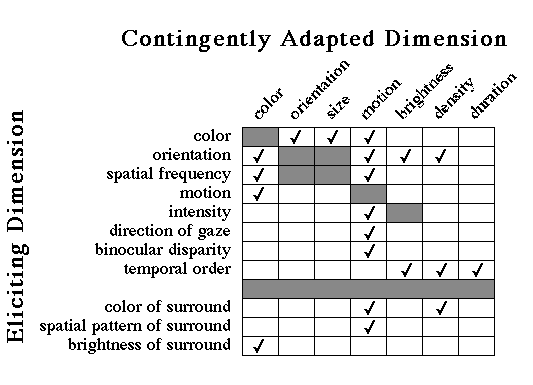 Durgin, 1996: Visual aftereffect...color of frame